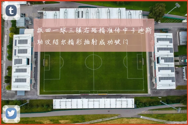 扳回一球三镇右路精准传中卡迪斯助攻绍尔精彩抽射成功破门